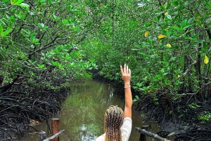 ZANZÍBAR; BOSQUE DE JOZANI