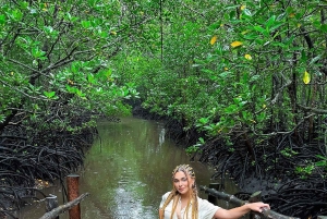 ZANZÍBAR; BOSQUE DE JOZANI