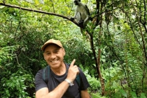 Zanzibar: tour guiado à Floresta dos Macacos de Jozani