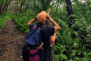 Zanzibar: tour guiado à Floresta dos Macacos de Jozani