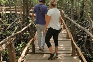 Zanzibar: tour guiado à Floresta dos Macacos de Jozani