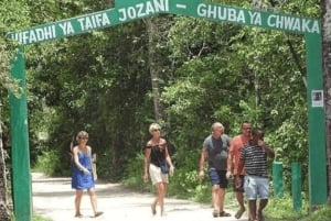 Zanzibar: tour guiado à Floresta dos Macacos de Jozani