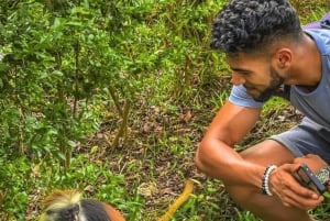 Zanzibar: tour guiado à Floresta dos Macacos de Jozani