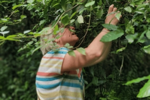 Zanzibar: tour guiado à Floresta dos Macacos de Jozani