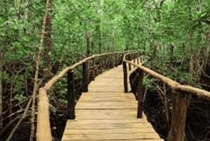 Zanzibar: tour guiado à Floresta dos Macacos de Jozani