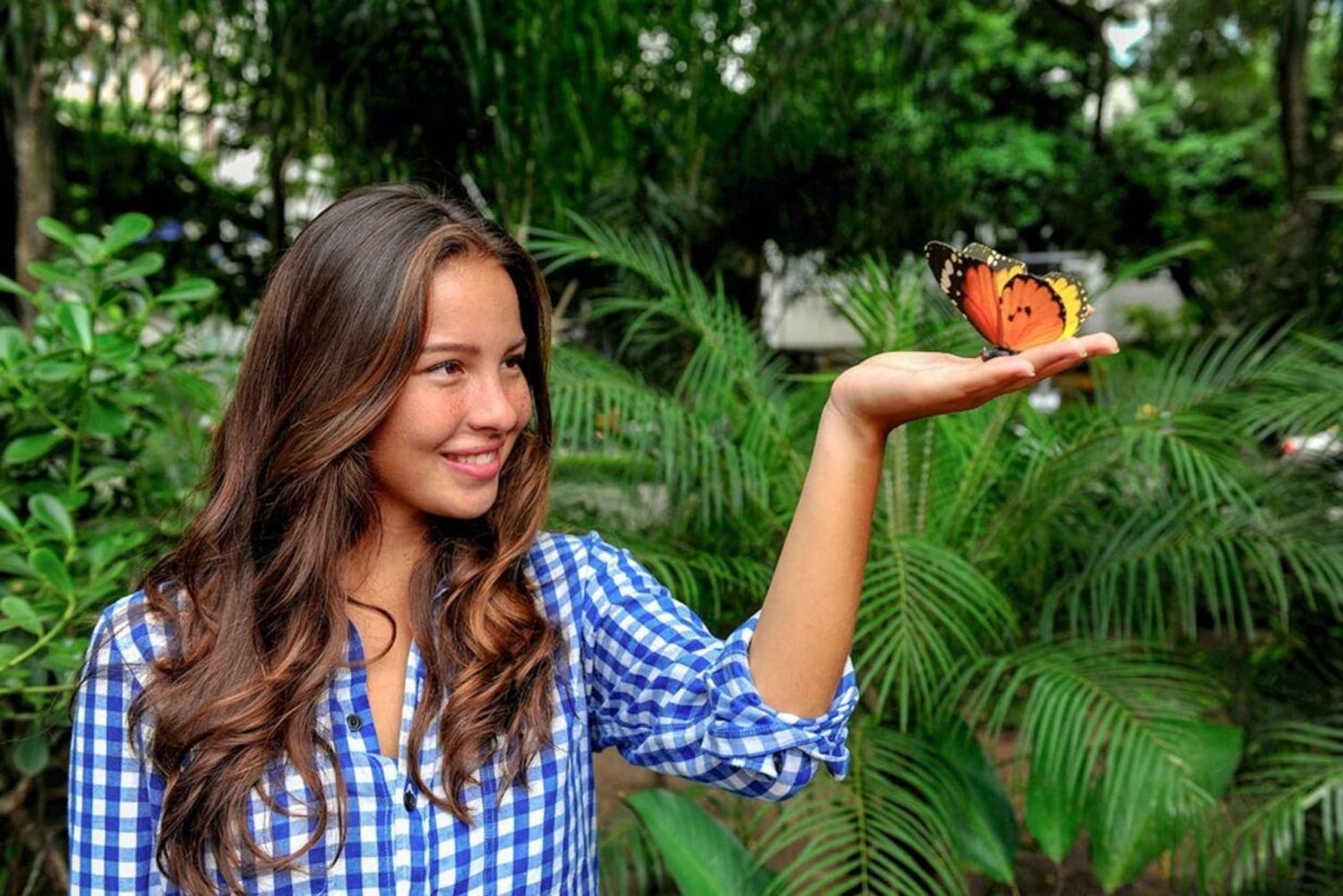 Zanzibar: Jozani Monkeys, Butterfly Garden & Reptile Park