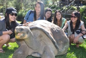 Zanzibar: Jozani Monkeys, Butterfly Garden & Reptile Park