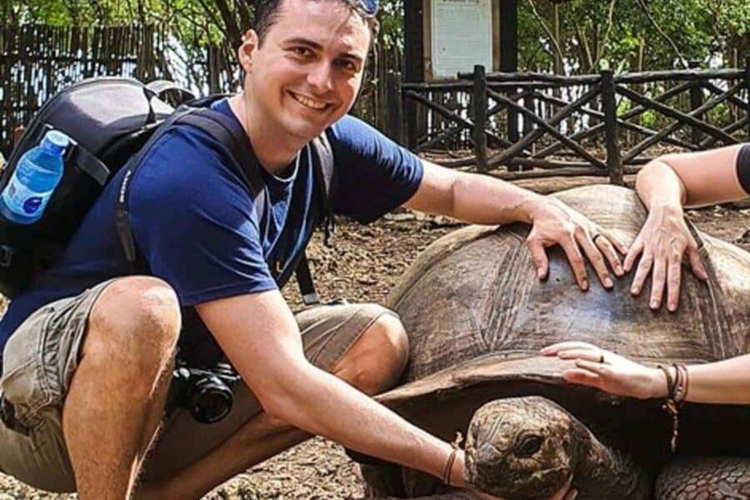 Zanzibar: Jozani-apor, jättesköldpaddor och reptilpark