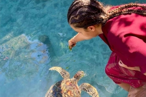 Zanzibar: Jozani-apor, jättesköldpaddor och reptilpark