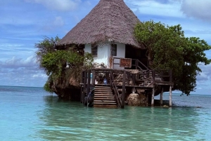 Zanzibar: passeio de um dia pelo Parque Nacional de Jozani e pelo Restaurante The Rock