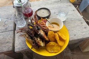 Zanzibar: Jozani nationalpark och Rock Restaurant-tur