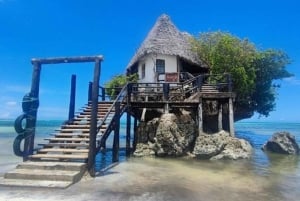 Zanzibar: Jozani nationalpark och Rock Restaurant-tur