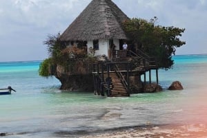 Zanzibar: Jozani nationalpark och Rock Restaurant-tur