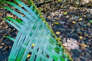 Zanzibar: Jozani nationalpark och Rock Restaurant-tur