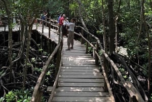 Zanzibar: Jozani nationalpark och Rock Restaurant-tur