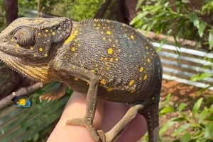 Zanzibar: Jozani National Park & Butterflies Guided Tour