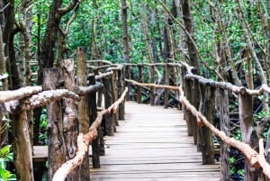 Zanzibar: Jozani Park Tour With Red Colobus Monkeys