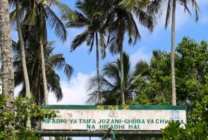 Zanzibar: Jozani Park Tour With Red Colobus Monkeys