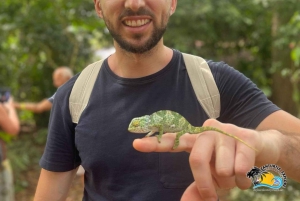 Zanzibar: Kilosa Zoo Conservation og dhow-sejltur ved solnedgang