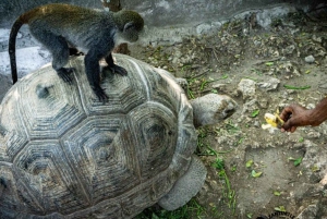 Zanzibar: Kilosa Zoo Conservation og dhow-sejltur ved solnedgang