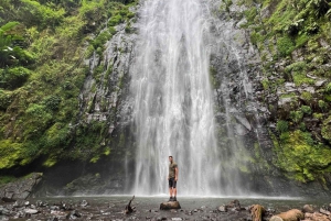 Zanzíbar: excursión de un día al bosque y las cuevas de Kiwengwa