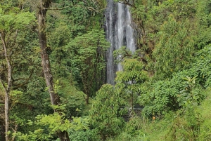 Zanzíbar: excursión de un día al bosque y las cuevas de Kiwengwa
