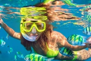 Zanzibar: Kiwengwa Reef Snorkeling and Sailing Tour