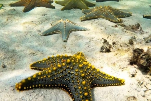 Zanzibar: Wycieczka z nurkowaniem i żeglowaniem po rafie Kiwengwa