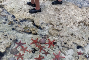 Zanzibar: Wycieczka z nurkowaniem i żeglowaniem po rafie Kiwengwa