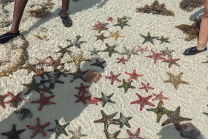 Zanzibar: Wycieczka z nurkowaniem i żeglowaniem po rafie Kiwengwa