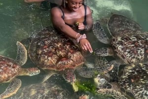 Zanzibar: Kizimkazi Dolphin Tour & Sea turtle Sanctuary Tour