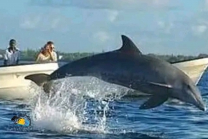 Zanzibar: Kizimkazi Dolphins Tour with Swimming & Snorkeling