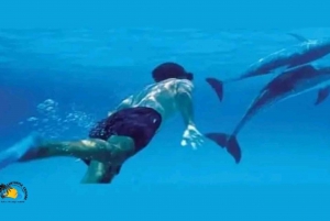 Zanzibar: Kizimkazi Dolphins Tour with Swimming & Snorkeling