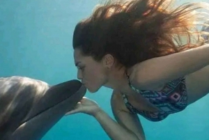 Zanzibar: Kizimkazi Dolphins Tour with Swimming & Snorkeling