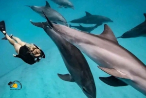 Zanzibar: Kizimkazi Dolphins Tour with Swimming & Snorkeling