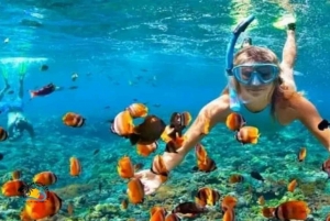 Zanzibar: Kizimkazi Dolphins Tour with Swimming & Snorkeling