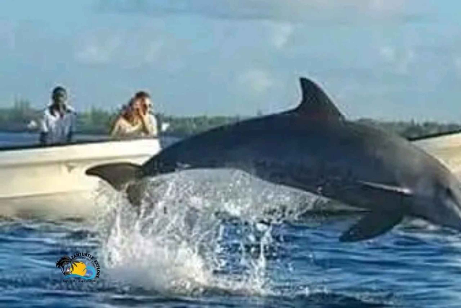 Zanzibar: Kizimkazi Dolphins Tour med svømning og snorkling