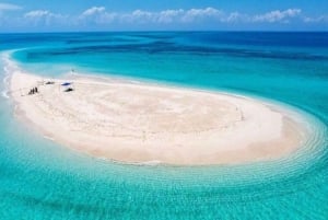 ZANZIBAR: Snorkling på Pungume Island og sandbank + grill
