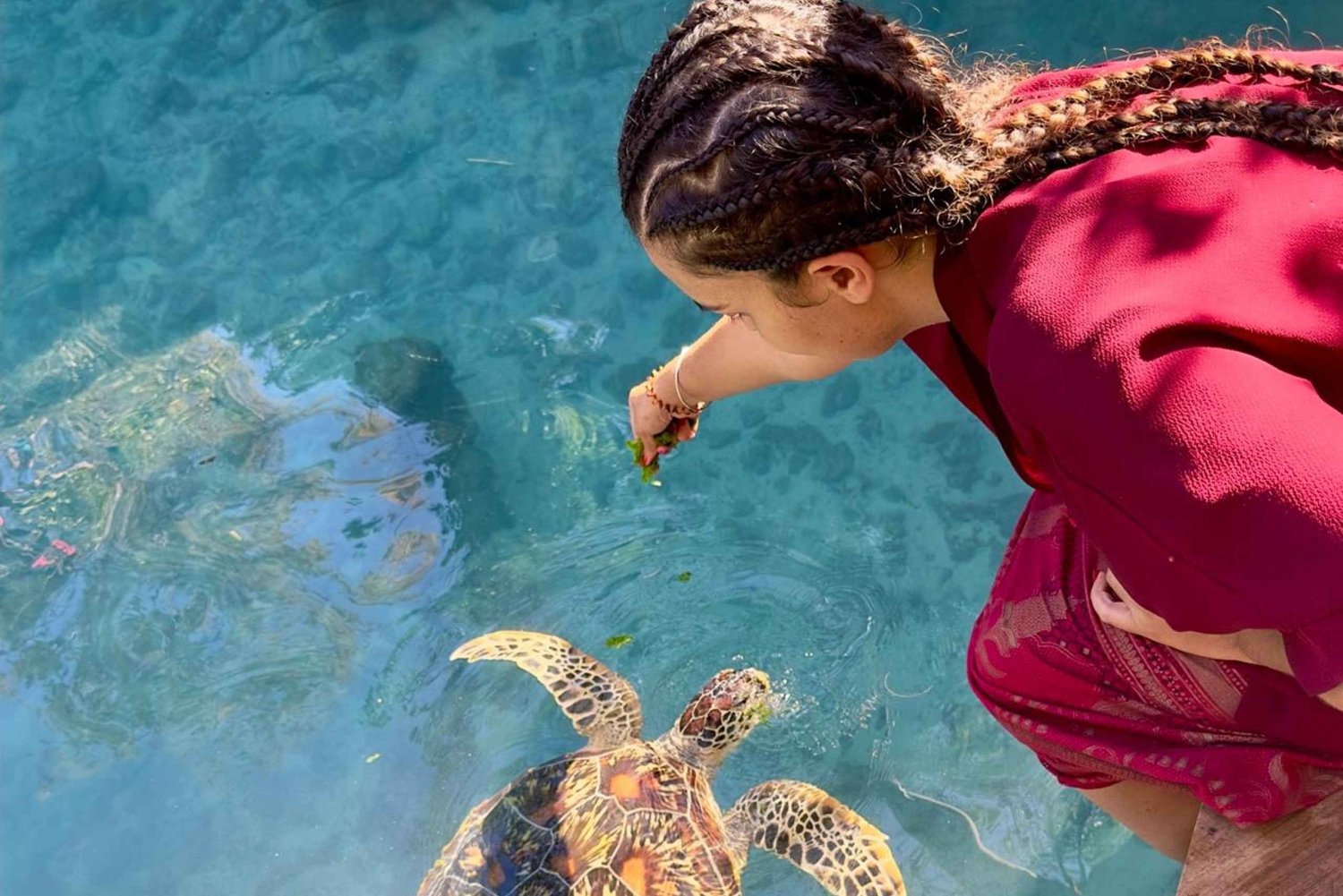 Zanzíbar: Natación con tortugas marinas en Kizimkazi y excursión a la cueva de Salaam