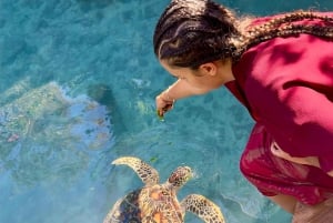 Zanzibar Kizimkazi:Salaam Cave swim sea turtles and transfer