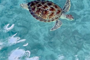 Zanzíbar: Natación con tortugas marinas en Kizimkazi y excursión a la cueva de Salaam