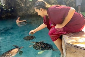Zanzíbar: Natación con tortugas marinas en Kizimkazi y excursión a la cueva de Salaam