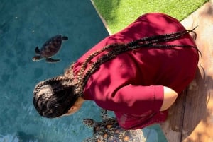 Zanzíbar: Natación con tortugas marinas en Kizimkazi y excursión a la cueva de Salaam