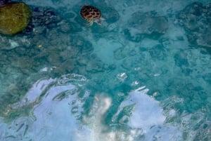 Zanzíbar: Natación con tortugas marinas en Kizimkazi y excursión a la cueva de Salaam