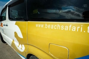 Zanzibar: Kizimkazi Sea Turtle Swim & Salaam Cave Tour