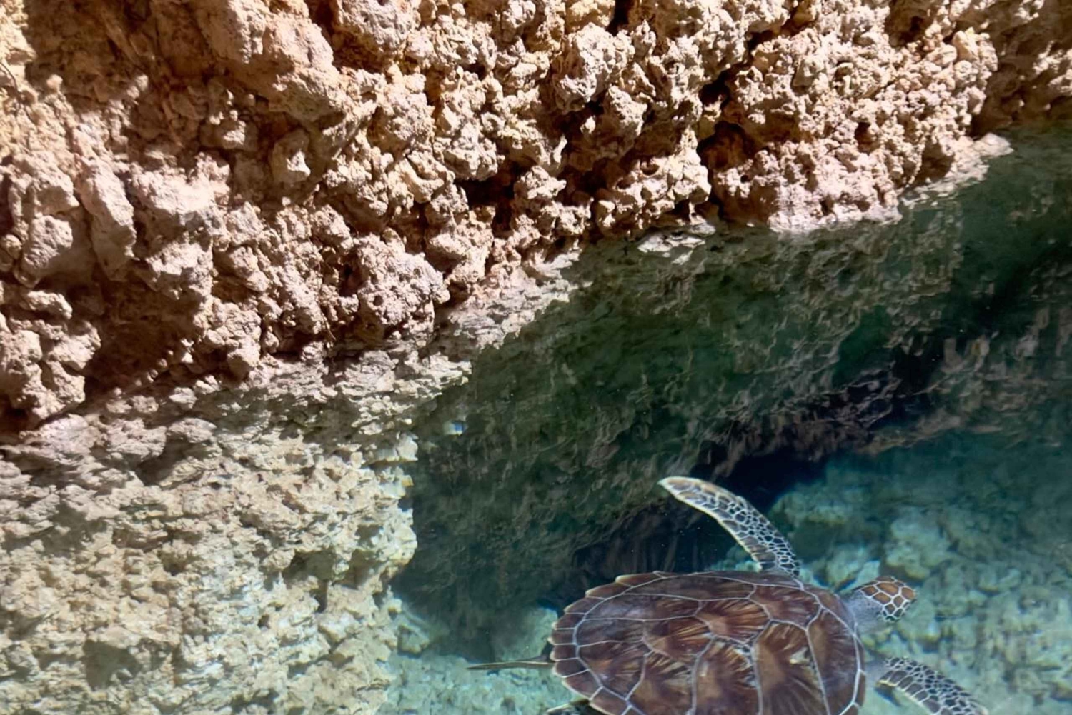 Zanzibar Kizimkazi Secret Cave svømmetur med havskilpadder