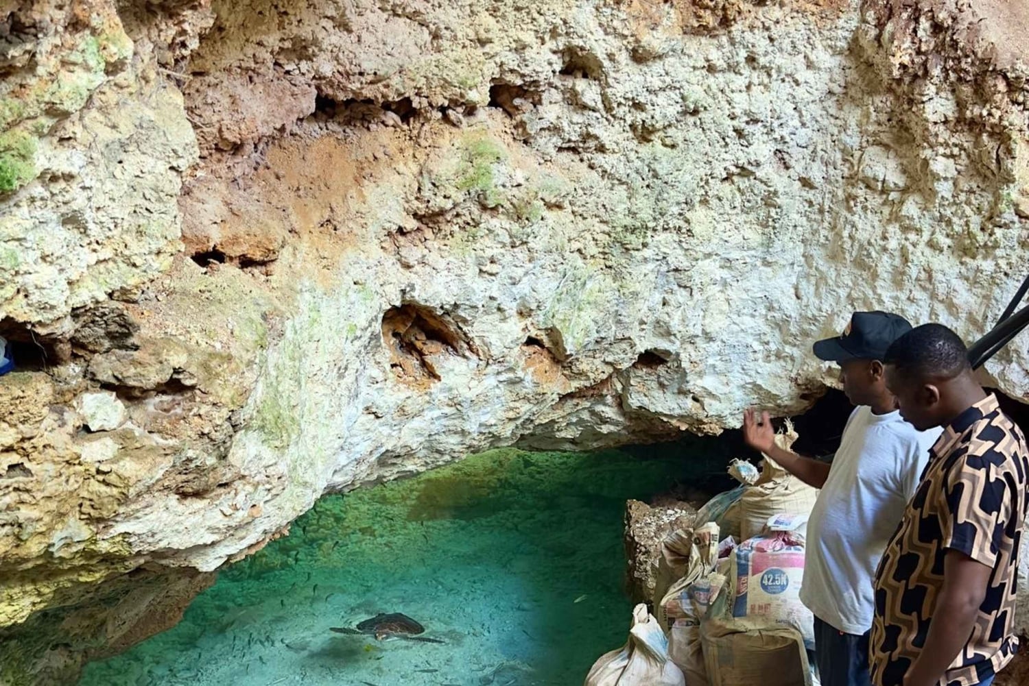 Zanzibar Kizimkazi Secret Cave svømmetur med havskilpadder
