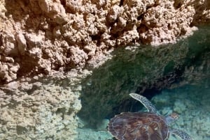 Zanzibar Kizimkazi Secret Cave svømmetur med havskilpadder