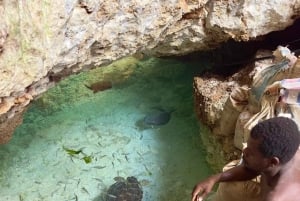 Zanzibar Kizimkazi Secret Cave svømmetur med havskilpadder