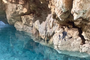 Zanzibar Kizimkazi Secret Cave svømmetur med havskilpadder